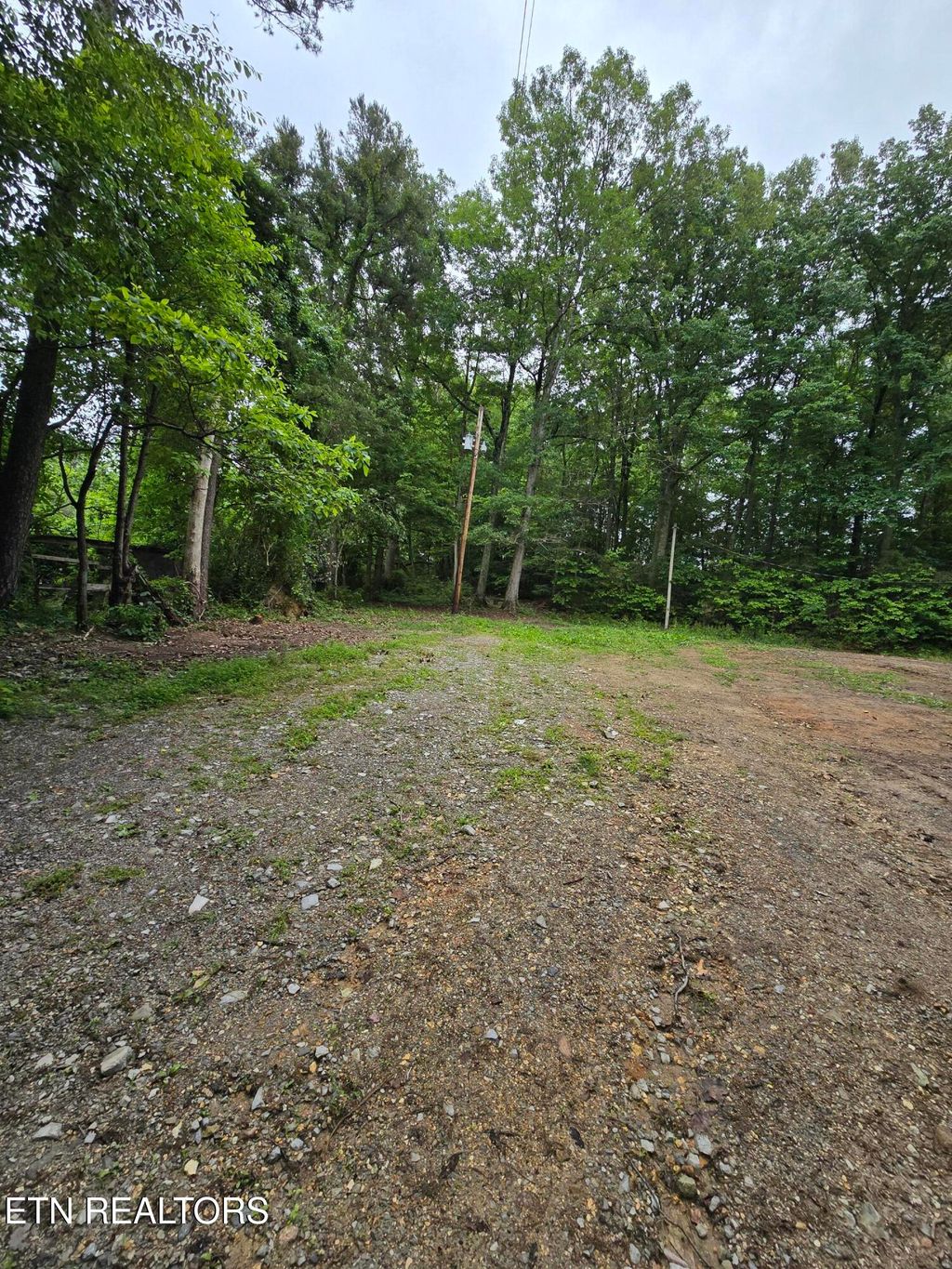 Photo of 689 Ivey Hollow Rd, LaFollette, TN 37766 (MLS # 1302564)