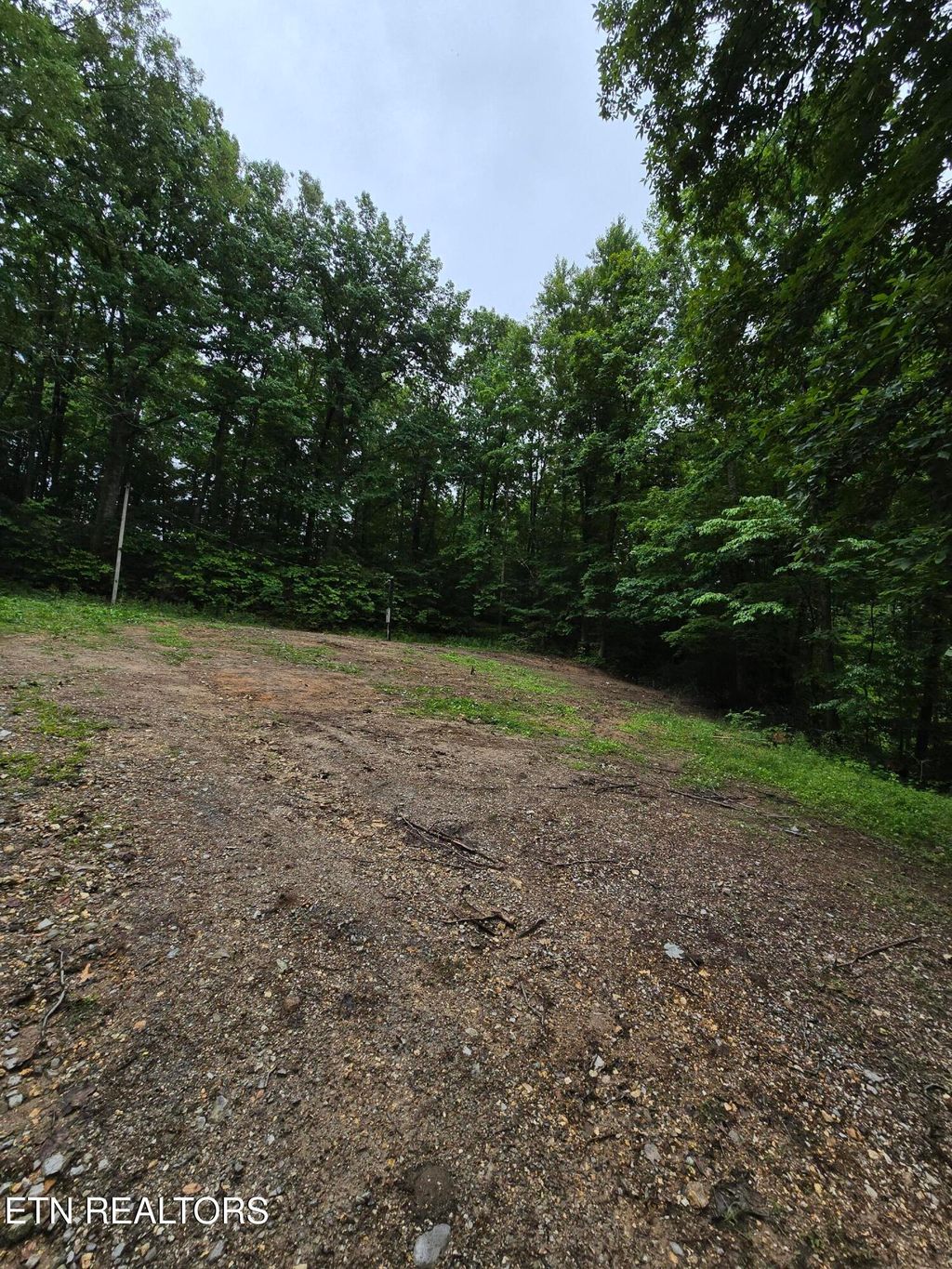 Photo of 689 Ivey Hollow Rd, LaFollette, TN 37766 (MLS # 1302564)