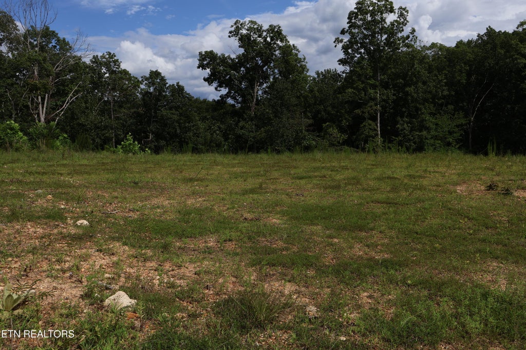 Photo of 1016 Northbridge Close, Kingston, TN 37763 (MLS # 1348285)