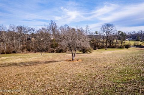 Photo of 910 Houston Springs Rd, Greenback, TN 37742 (MLS # 1326080)