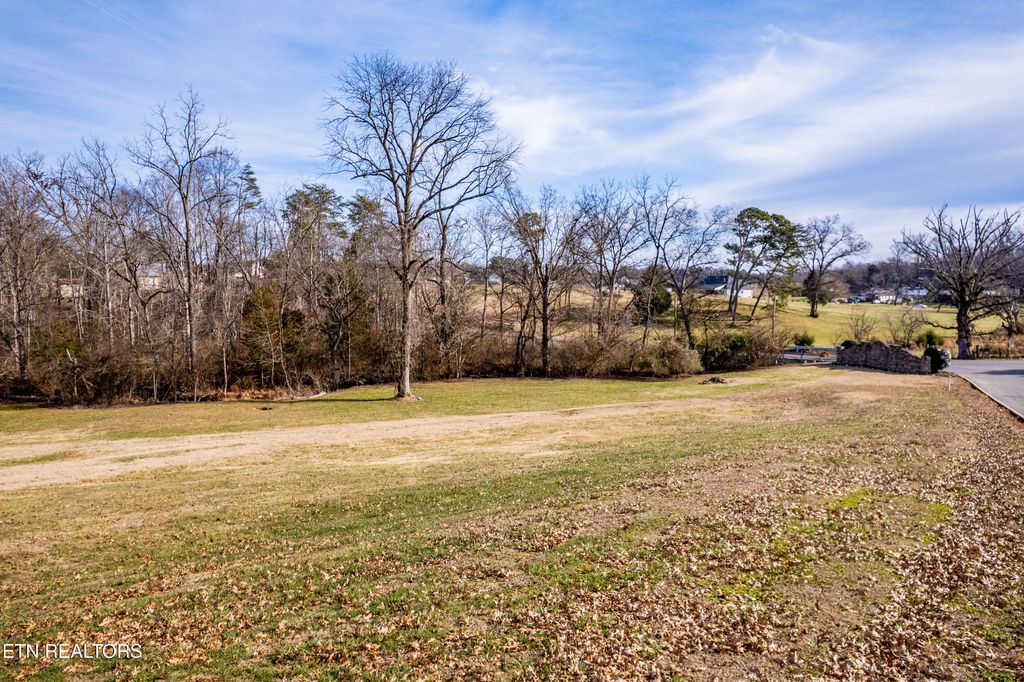 Photo of 910 Houston Springs Rd, Greenback, TN 37742 (MLS # 1326080)