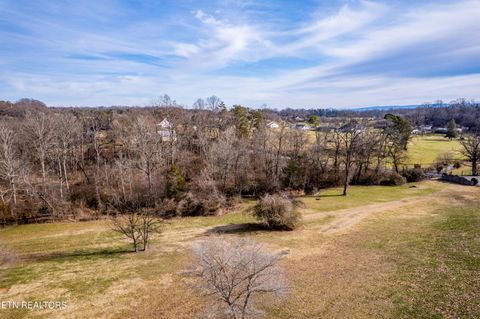 Tiny photo for 910 Houston Springs Rd, Greenback, TN 37742 (MLS # 1326080)
