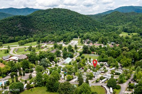 Tiny photo for 51 Highway 73, Townsend, TN 37882 (MLS # 1339879)