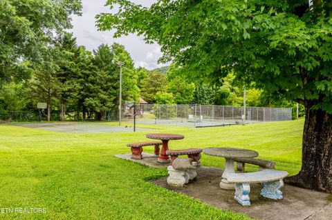 Tiny photo for 51 Highway 73, Townsend, TN 37882 (MLS # 1339879)