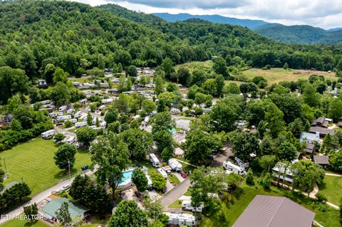 Tiny photo for 51 Highway 73, Townsend, TN 37882 (MLS # 1339879)