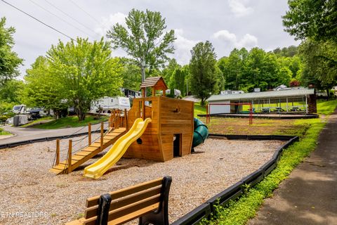 Tiny photo for 51 Highway 73, Townsend, TN 37882 (MLS # 1339879)