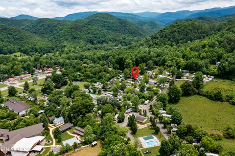 Tiny photo for 51 Highway 73, Townsend, TN 37882 (MLS # 1339879)