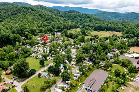 Tiny photo for 51 Highway 73, Townsend, TN 37882 (MLS # 1339879)