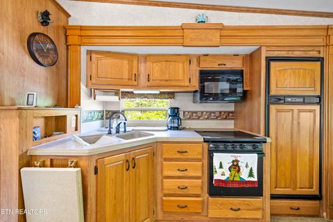 Tiny photo for 51 Highway 73, Townsend, TN 37882 (MLS # 1339879)