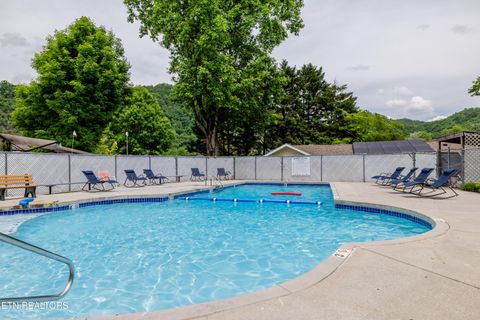 Tiny photo for 51 Highway 73, Townsend, TN 37882 (MLS # 1339879)