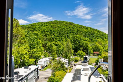 Tiny photo for 51 Highway 73, Townsend, TN 37882 (MLS # 1339879)