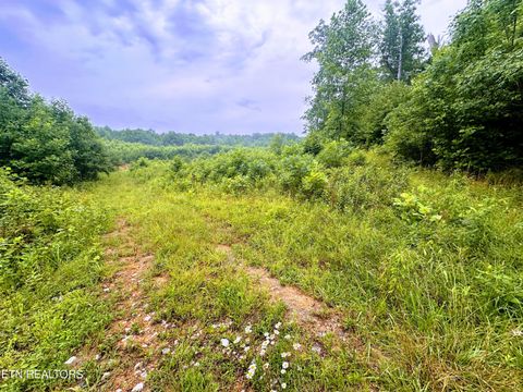 13.44 Ac Chestnut Ridge Rd Allardt TN 38504