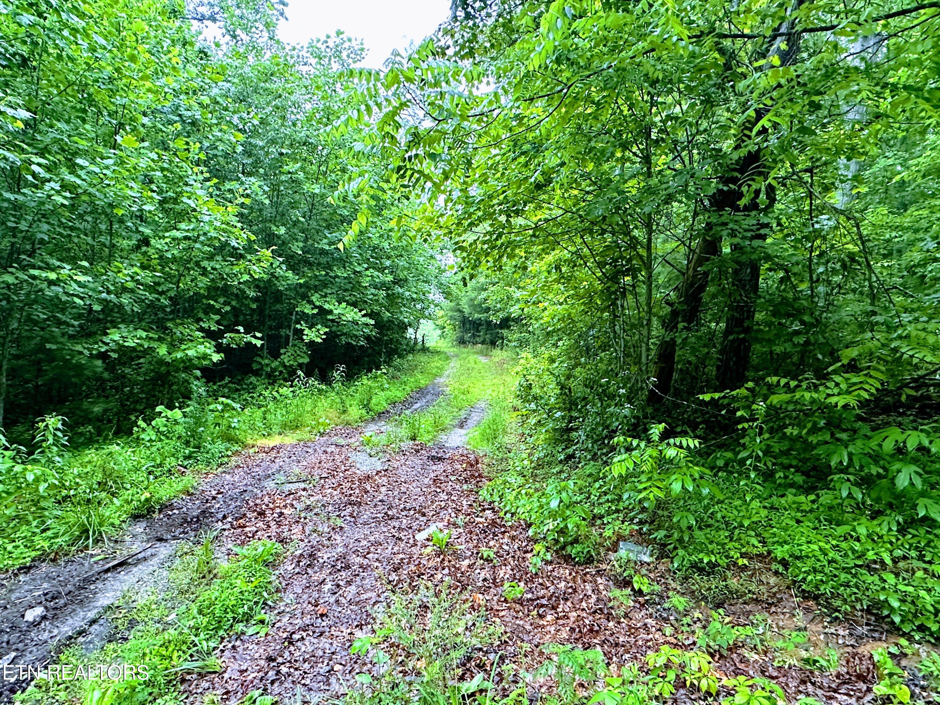 13.44 Ac Chestnut Ridge Rd