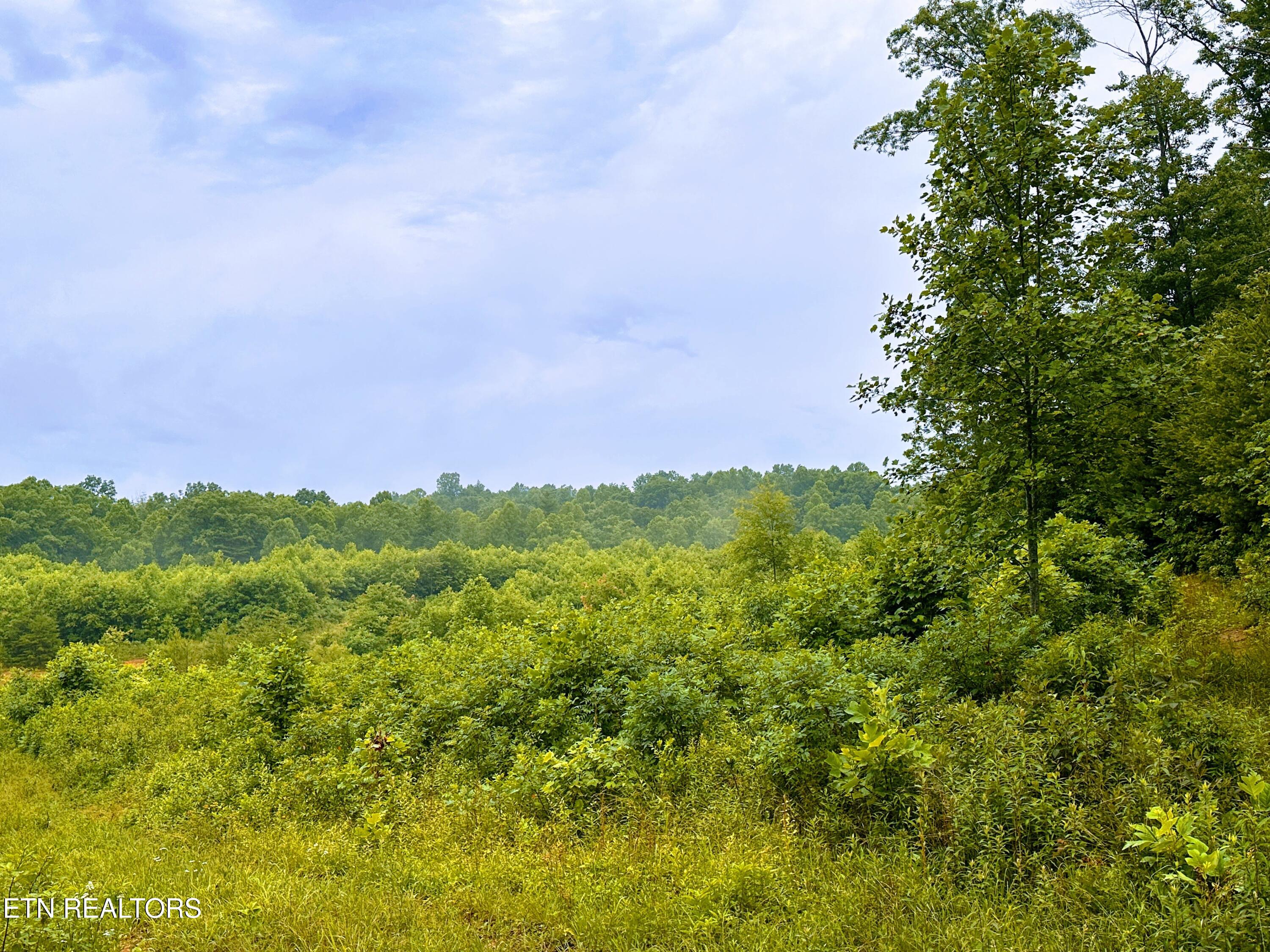 13.44 Ac Chestnut Ridge Rd