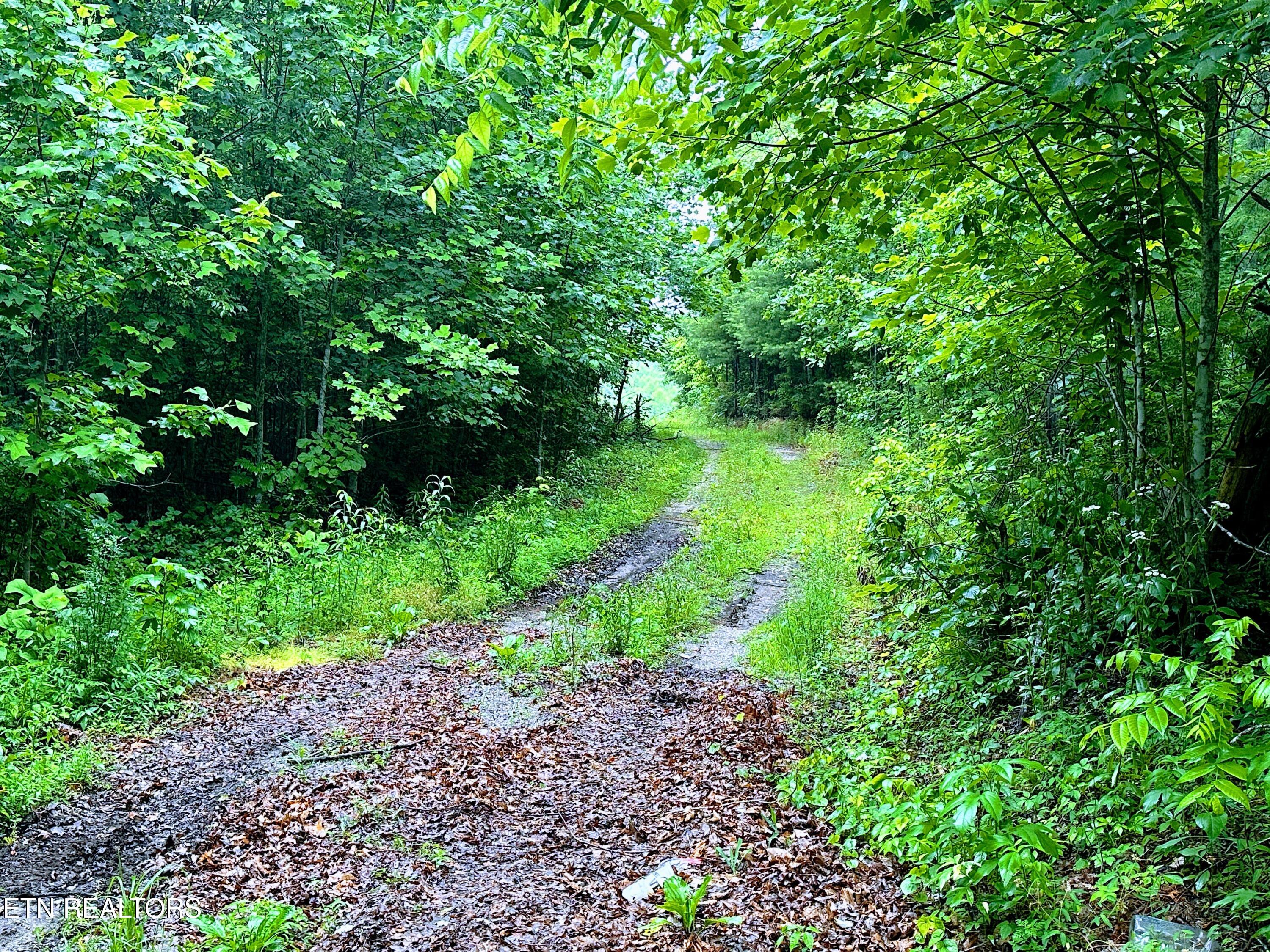 13.44 Ac Chestnut Ridge Rd