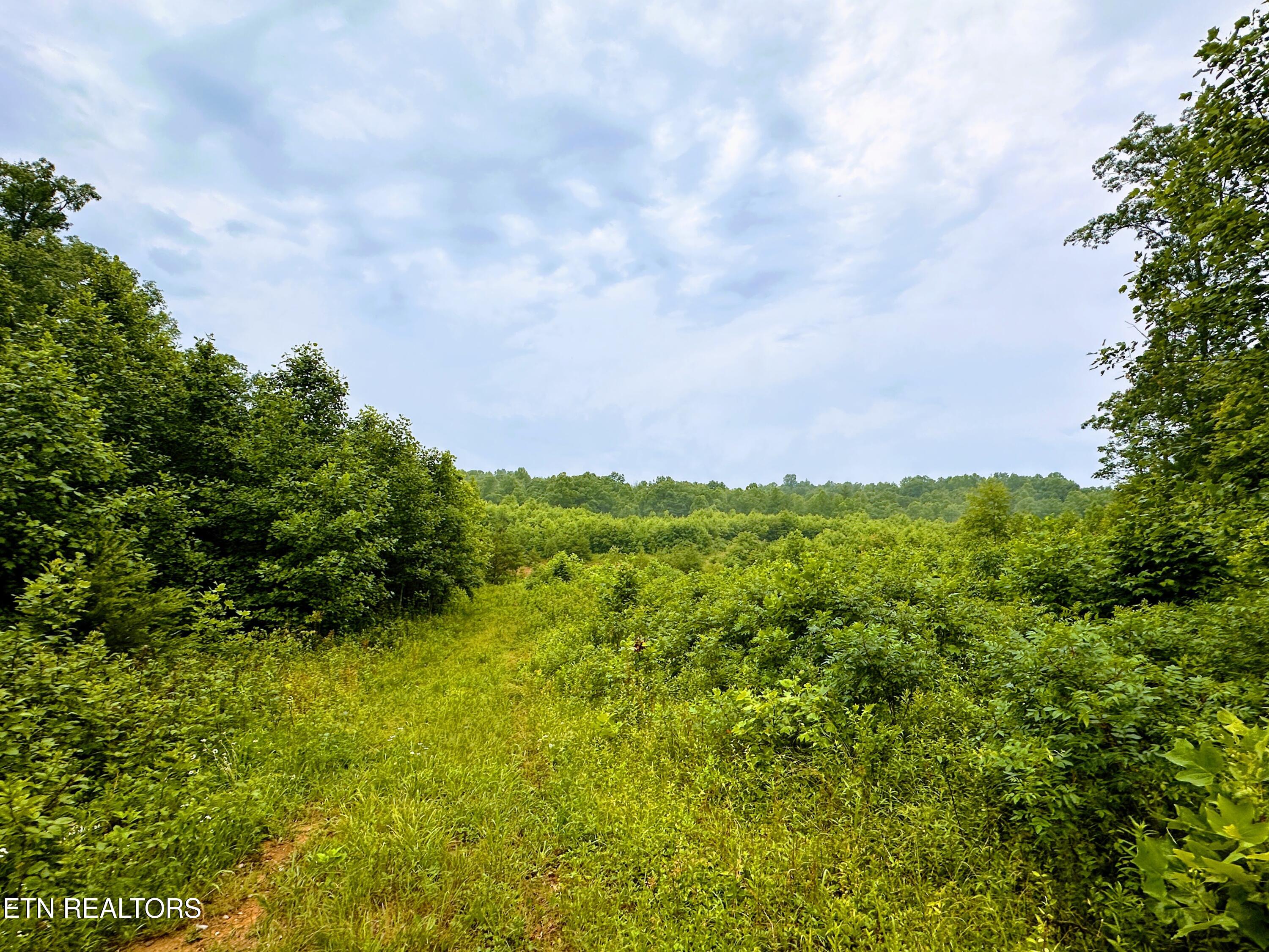 13.44 Ac Chestnut Ridge Rd