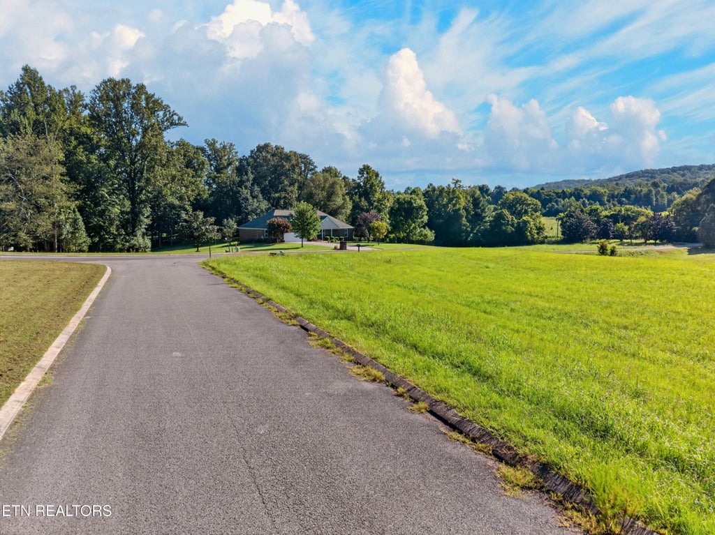 Photo of 175 Spring Cove Lane #Lot 35, Spring City, TN 37381 (MLS # 1353296)