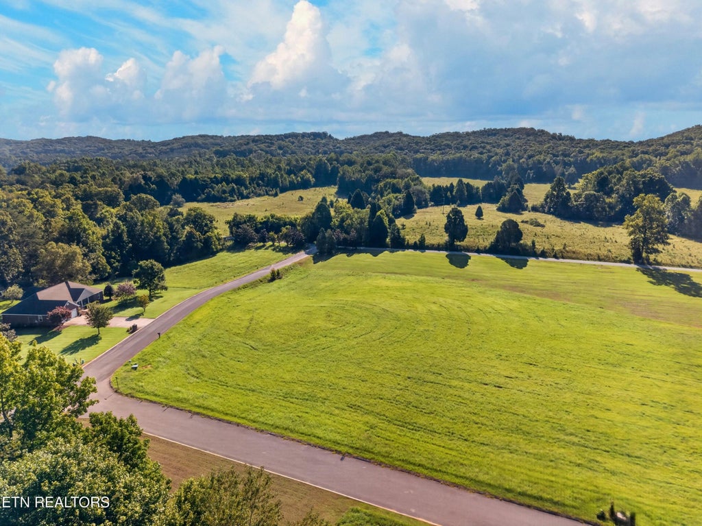 Photo of 175 Spring Cove Lane #Lot 35, Spring City, TN 37381 (MLS # 1353296)