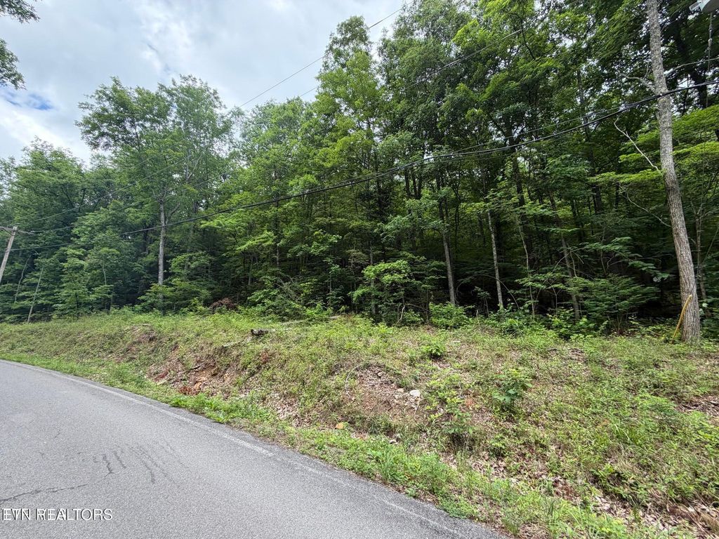 Photo of TBD Alpine Drive, Sevierville, TN 37876 (MLS # 1343117)