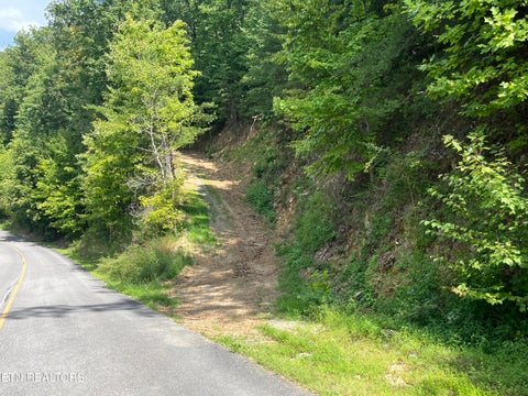 Photo of 130 Settlers View Lane, Sevierville, TN 37862 (MLS # 1355269)