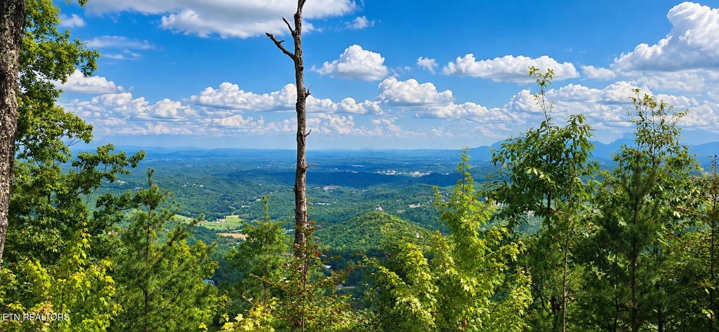 Photo of 130 Settlers View Lane, Sevierville, TN 37862 (MLS # 1355269)