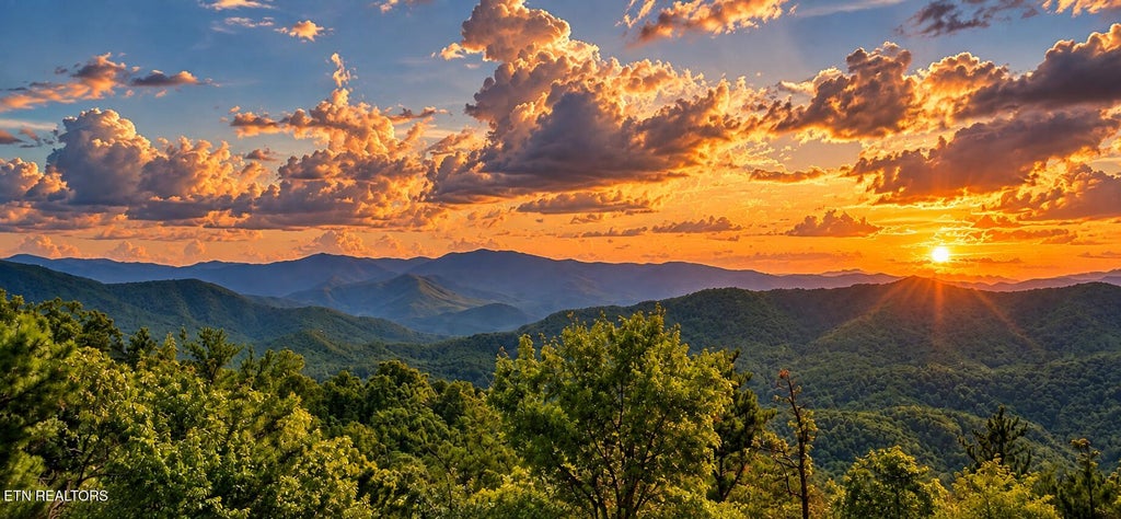 Photo of 130 Settlers View Lane, Sevierville, TN 37862 (MLS # 1355269)