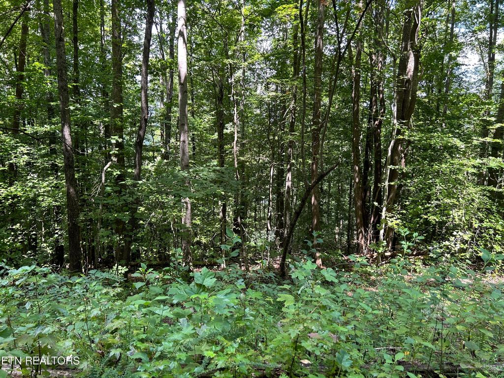 Photo of Pearl Ln Lot 25 Lane, Maynardville, TN 37807 (MLS # 1273615)