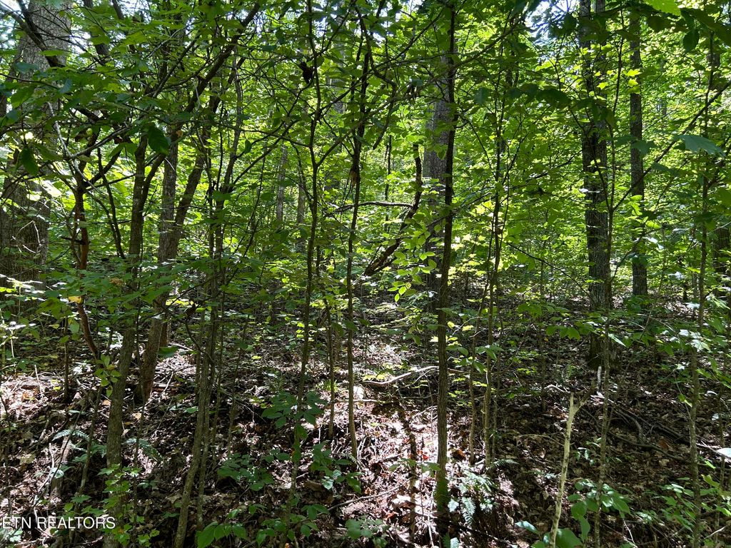 Photo of Pearl Ln Lot 25 Lane, Maynardville, TN 37807 (MLS # 1273615)