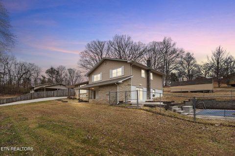 Tiny photo for 155 Chestnut Hill Rd, Harriman, TN 37748 (MLS # 1330112)