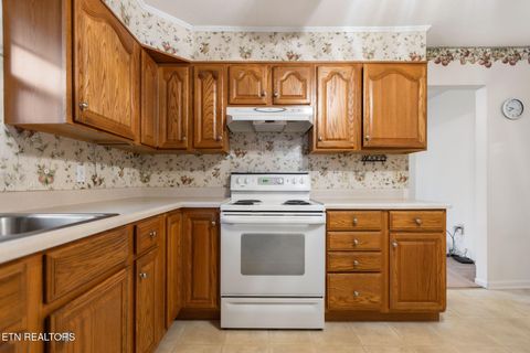 Tiny photo for 155 Chestnut Hill Rd, Harriman, TN 37748 (MLS # 1330112)