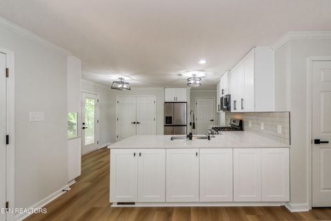 Tiny photo for 1628 Coventry Park Blvd, Knoxville, TN 37931 (MLS # 1337671)