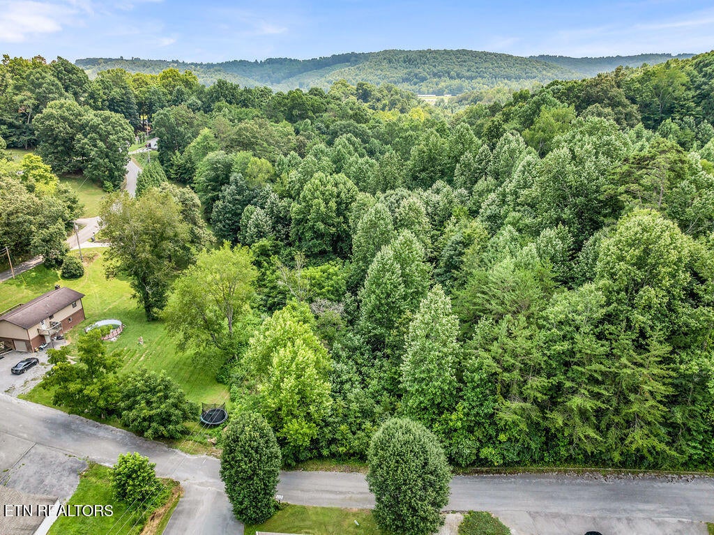 Photo of 0 Forest Meadows lane, New Tazewell, TN 37825 (MLS # 1349971)