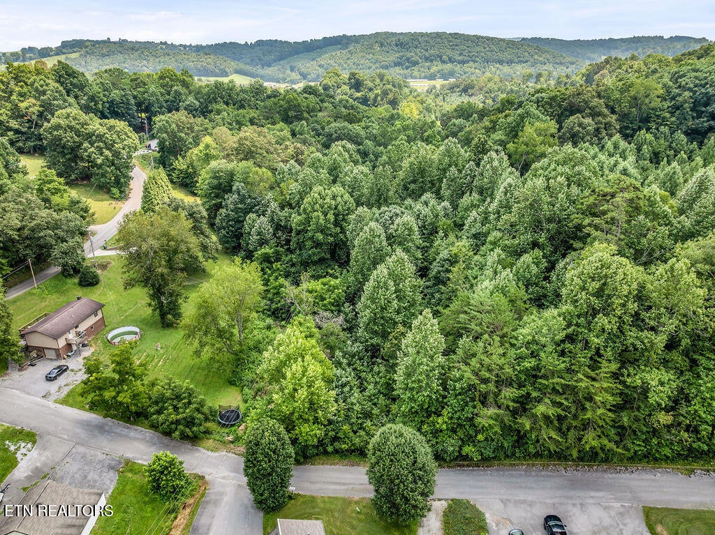 Photo of 0 Forest Meadows lane, New Tazewell, TN 37825 (MLS # 1349971)