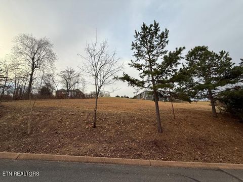 Photo of Shiloh Springs Rd, Rutledge, TN 37861 (MLS # 1327098)