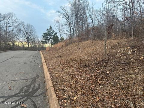 Tiny photo for Shiloh Springs Rd, Rutledge, TN 37861 (MLS # 1327098)