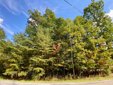 Photo of 92 Hanning Drive, Crossville, TN 38558 (MLS # 1336338)