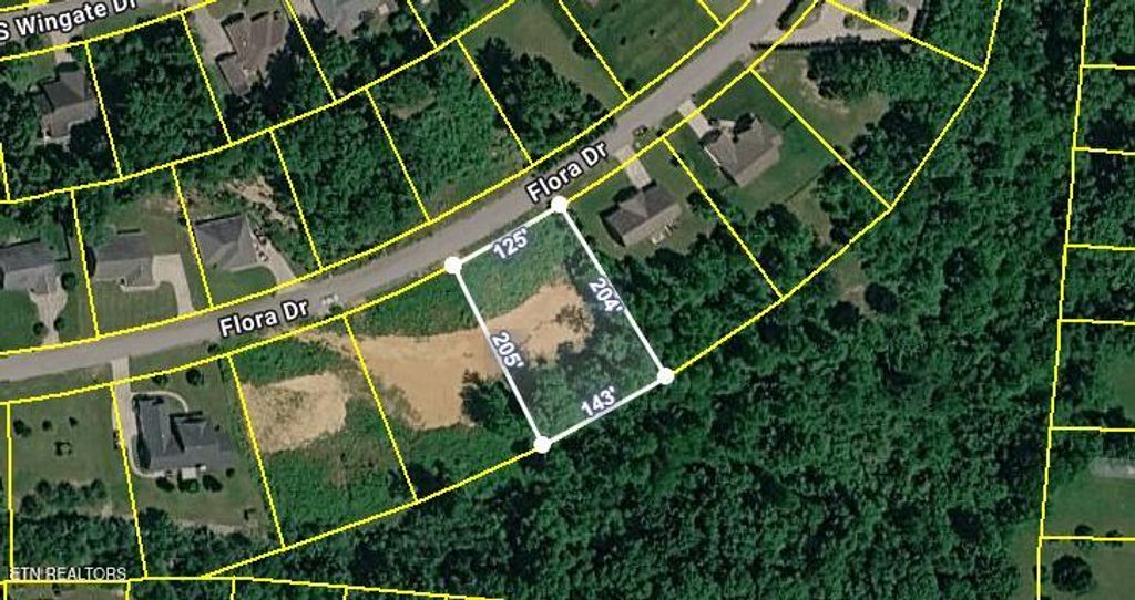 Photo of 390 Flora Drive, Lenoir City, TN 37771 (MLS # 1341636)