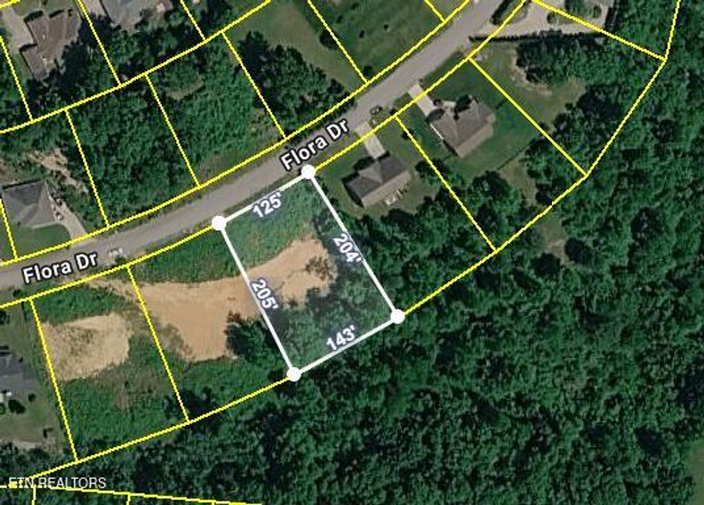 Photo of 390 Flora Drive, Lenoir City, TN 37771 (MLS # 1341636)