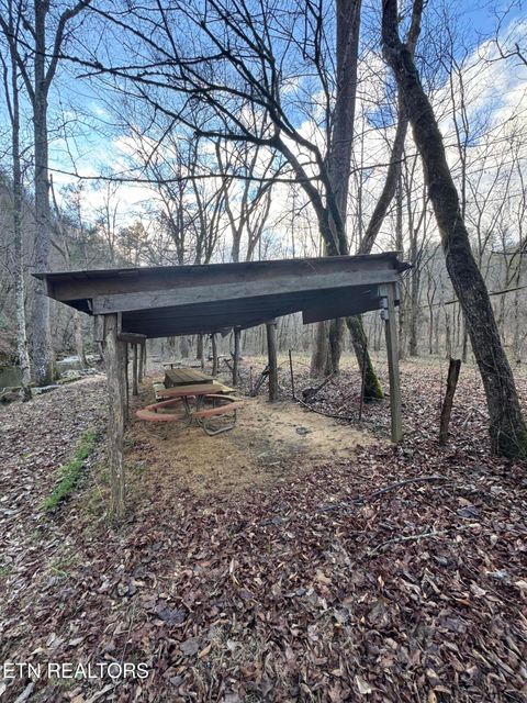 Old 15th Rd Del Rio TN 37727