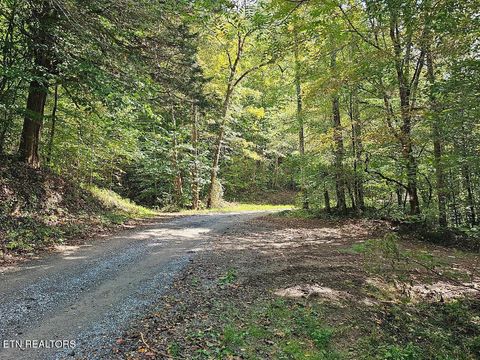 118ac Mill Hollow Rd Tazewell TN 37879