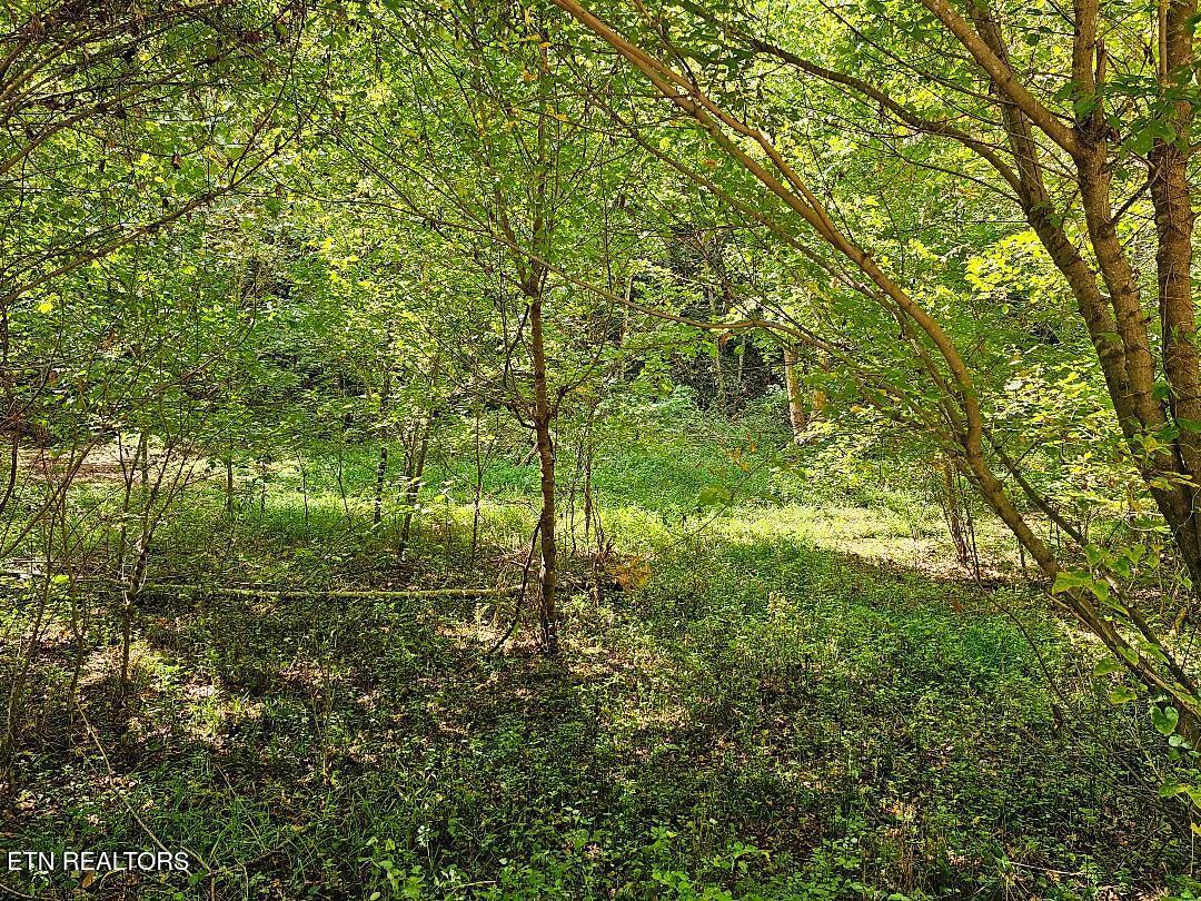 118ac Mill Hollow Rd