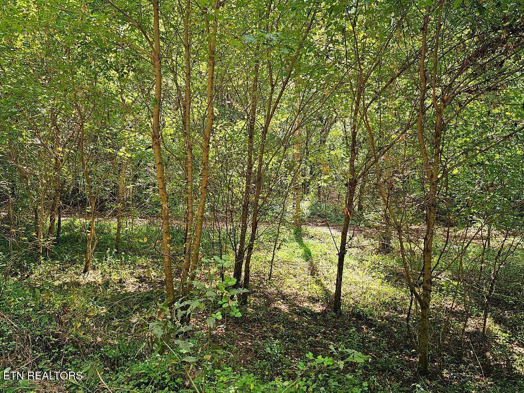 118ac Mill Hollow Rd