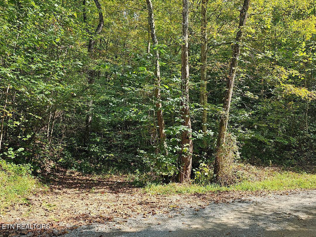118ac Mill Hollow Rd