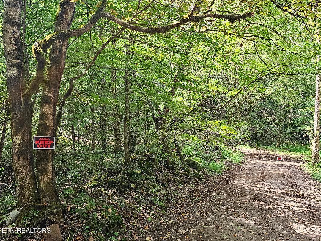 118ac Mill Hollow Rd