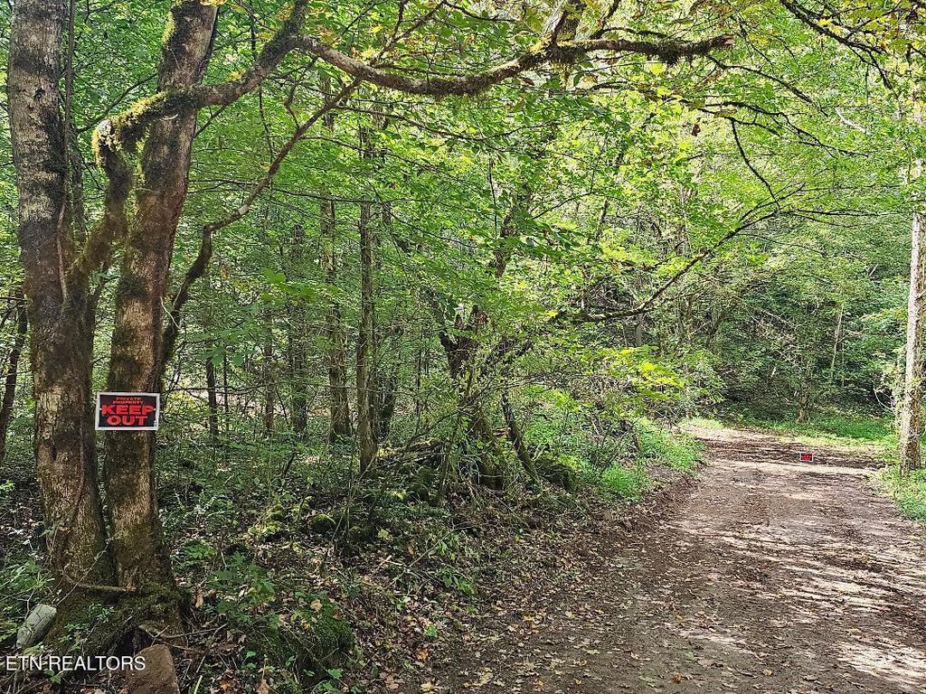 Photo of 7387 Mill Hollow Rd, Tazewell, TN 37879 (MLS # 1294419)