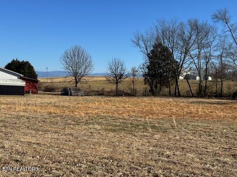 Tiny photo for Niles Ferry Rd, Madisonville, TN 37354 (MLS # 1329734)