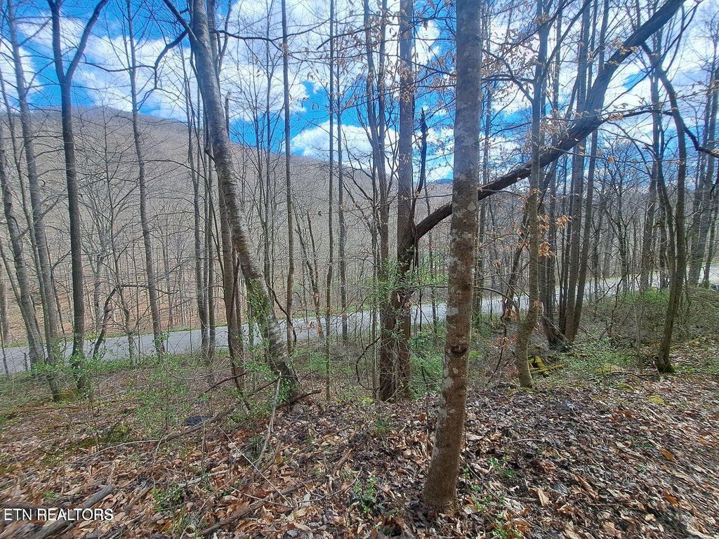 Photo of Jakes Branch Rd, Huntsville, TN 37756 (MLS # 1292957)