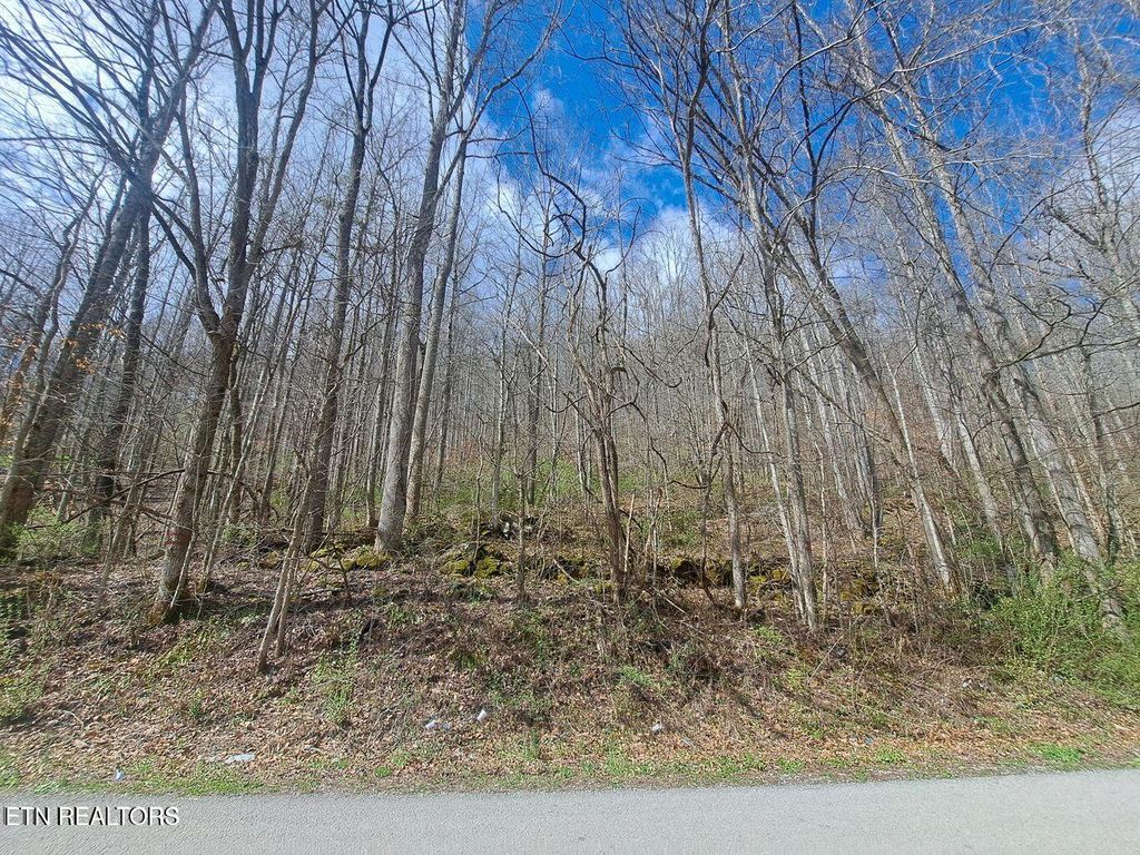 Photo of Jakes Branch Rd, Huntsville, TN 37756 (MLS # 1292957)
