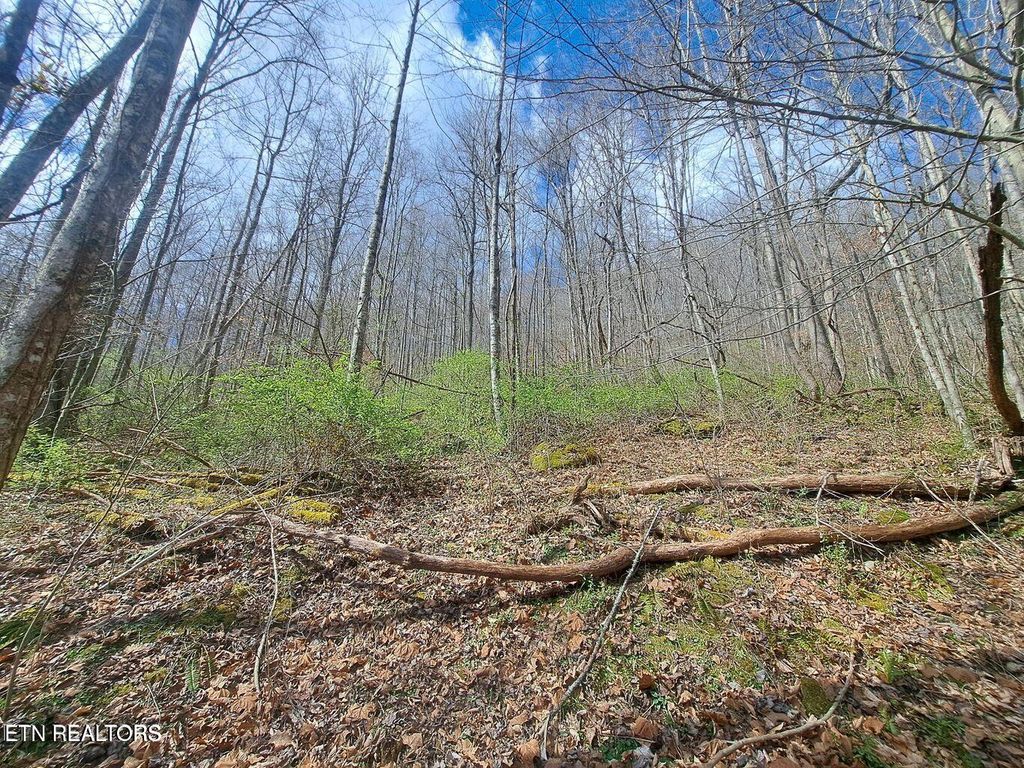 Photo of Jakes Branch Rd, Huntsville, TN 37756 (MLS # 1292957)