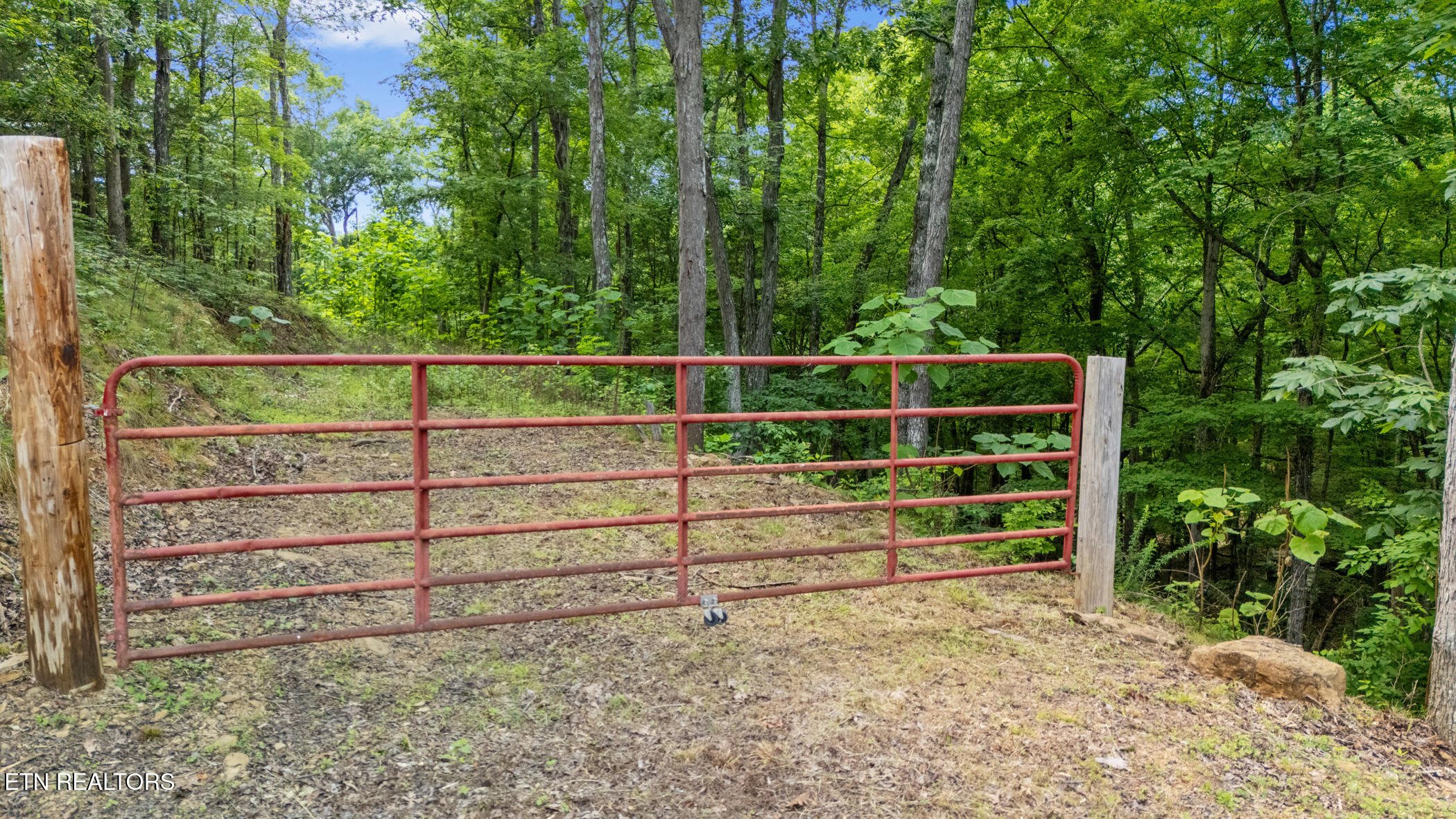 Lot 2 Buck Horn Rd